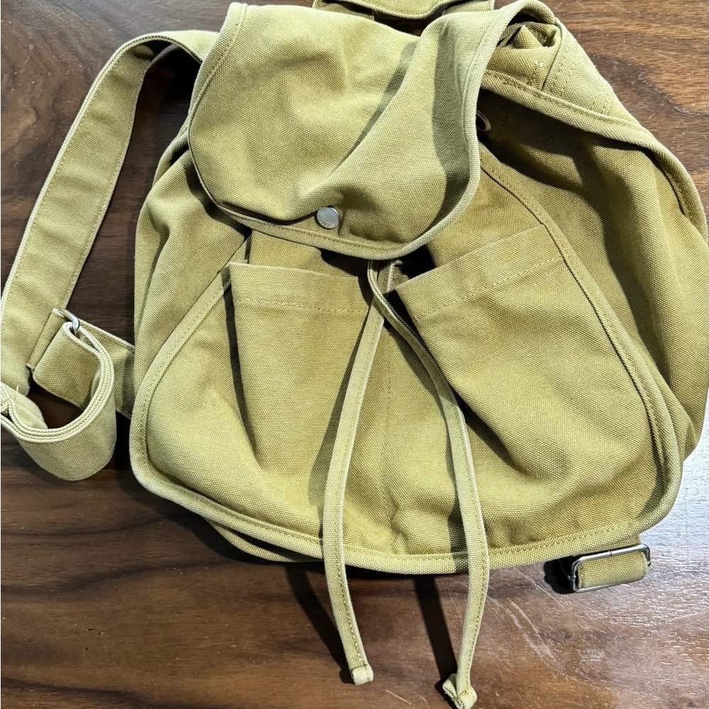 Stylish  BAGGU Canvas Backpack